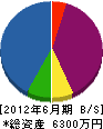 晃電社 貸借対照表 2012年6月期