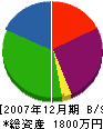 福島電気 貸借対照表 2007年12月期