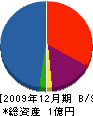 青木産業 貸借対照表 2009年12月期