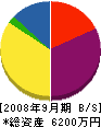 岩田緑化 貸借対照表 2008年9月期