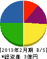三井エンタープライズ 貸借対照表 2013年2月期