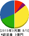 田島興産 貸借対照表 2013年3月期