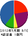 大澤工務店 貸借対照表 2012年5月期