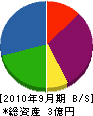岩田産業 貸借対照表 2010年9月期