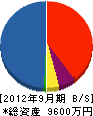 アート・ナカノ 貸借対照表 2012年9月期