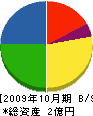 山口電気商会 貸借対照表 2009年10月期