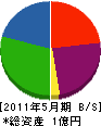 片山建設 貸借対照表 2011年5月期