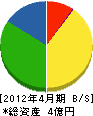 生田電機設備商会 貸借対照表 2012年4月期