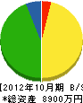 柳瀬建設 貸借対照表 2012年10月期