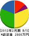 樋口電気商会 貸借対照表 2012年2月期