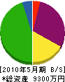 札幌公栄電気 貸借対照表 2010年5月期
