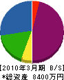 三反田技建 貸借対照表 2010年3月期