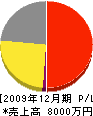 小松電気 損益計算書 2009年12月期