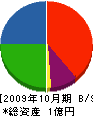 鶴丸興業 貸借対照表 2009年10月期
