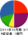 丸山興業 貸借対照表 2011年10月期