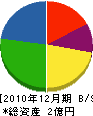 三栄ライン 貸借対照表 2010年12月期