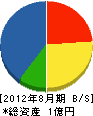 松崎建築事務所 貸借対照表 2012年8月期