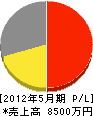 日本電設 損益計算書 2012年5月期