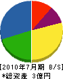 日本電力サービス 貸借対照表 2010年7月期