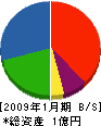 杉谷建設 貸借対照表 2009年1月期 杉谷建設 貸借対照表 2009年1月期