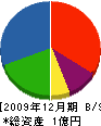 佐藤興業 貸借対照表 2009年12月期