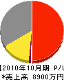 堀内建設 損益計算書 2010年10月期