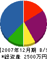 高松佐藤建設 貸借対照表 2007年12月期