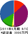 日本設備工業 貸借対照表 2011年6月期