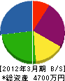 田中技建 貸借対照表 2012年3月期
