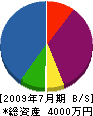 タケヤ 貸借対照表 2009年7月期