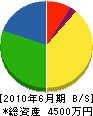 鈴木建材 貸借対照表 2010年6月期