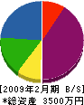 中須賀石工 貸借対照表 2009年2月期