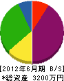 小田建 貸借対照表 2012年6月期