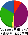 永田創建 貸借対照表 2012年6月期