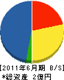 琉球電機 貸借対照表 2011年6月期