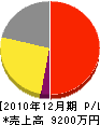 入江ポンプ 損益計算書 2010年12月期