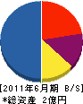川前工業所 貸借対照表 2011年6月期