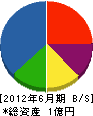 西日本整水 貸借対照表 2012年6月期