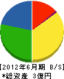 小田原建設 貸借対照表 2012年6月期