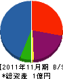 長野ニッカナ 貸借対照表 2011年11月期