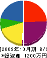 木村電気商会 貸借対照表 2009年10月期