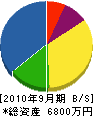 樅山技建 貸借対照表 2010年9月期