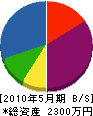 石井工業所 貸借対照表 2010年5月期