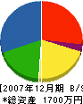 佐鯉建設 貸借対照表 2007年12月期