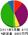 小笠原技建 貸借対照表 2011年5月期
