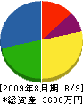 井＊鉄工所 貸借対照表 2009年8月期