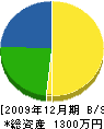 南雲造園 貸借対照表 2009年12月期