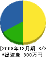 阪口造園 貸借対照表 2009年12月期