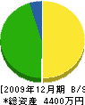 沖崎工務店 貸借対照表 2009年12月期