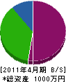 向井電気 貸借対照表 2011年4月期